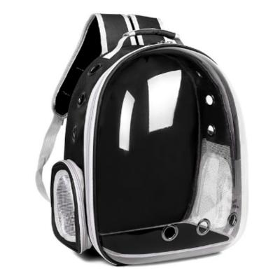 China Stocked Wholesale Breathable Transparent Pet Cat Dog Travel Carrier Carrying Backpack Bag for sale