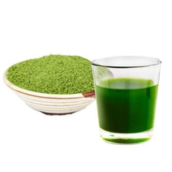 China Organic Green Fine Health Drink Powder Barley Grass Powder GN-1 for sale