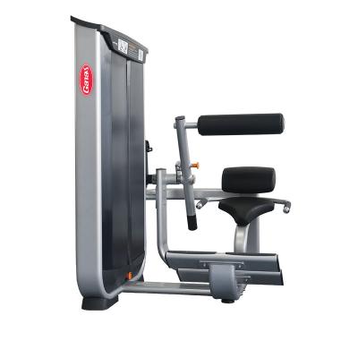 China Commercial Use Commercial Ganas Pin Loaded Gym Fitness Strength Equipment Diverging Back Extension Machine for sale