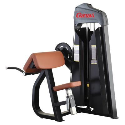 China Guangzhou Factory GANAS Gym Factory Manufacturer GANAS Commercial Use Gym Machine Biceps Curl Machine for sale