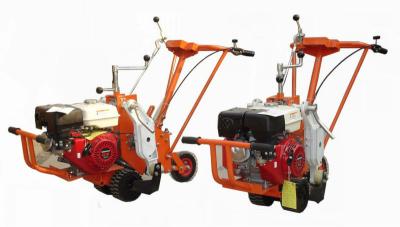 China 4-Stroke 9hp Gasoline Grass Cutter for sale