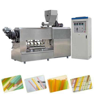 China Building Material Shops Food Maker 2021 Automatic Automatic Drinking Straw Rice Degradable Straw Making Machine for sale