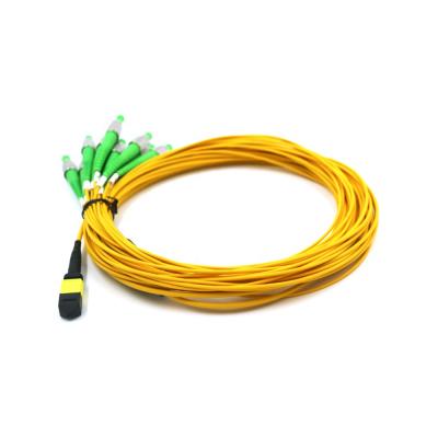 China PVC/LSZH MPO Solution MPO/MTP Patch Cord 12 Core FC/APC Fiber Optic Patch Cables for sale