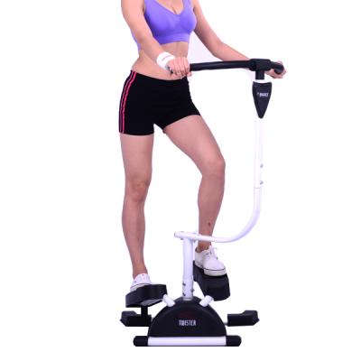 China Iron & Plastic Part Body Slimming Step Maker Exercise Cardio Twister for sale