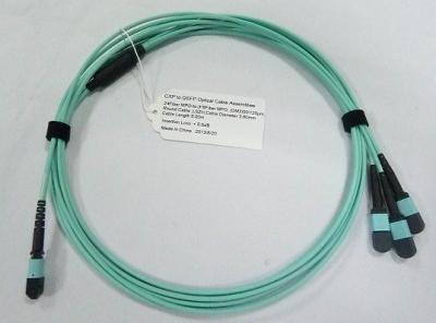 China 24 Fibra óptica MTP MPO ensamblajes de cables OM3 10G Aqua 25 metros azul en venta