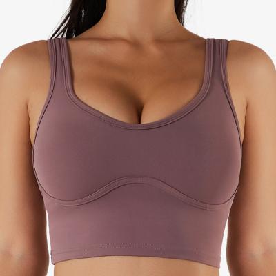 China 2022 New Style Breathable Bare Shockproof Sports Ladies Sports Vest Sleeveless Yoga Top for sale