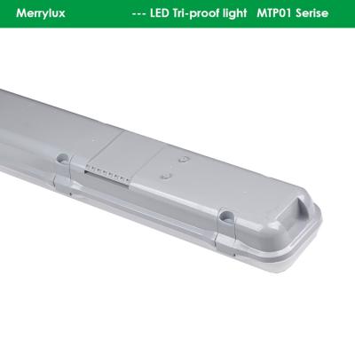 China 2021 Office Hot Selling 5 Years Warranty 4500K 100-220V PF>0.95 PC+PC LM80 Tri-proof LED Tube Light for sale