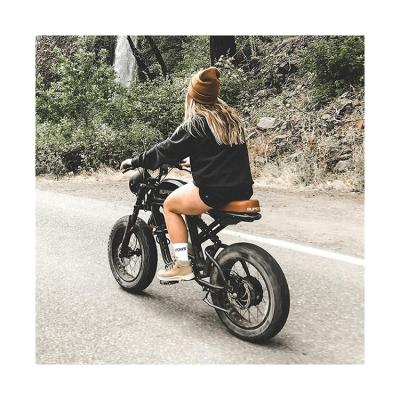 China Aluminum Alloy 48v Fat Tire Electric Vintage Tire Electric Bike 1000W 73 Retro Mountain City Dirt E Bike Electric Bike for sale