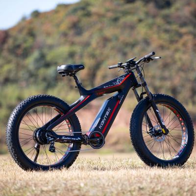 China Carbon Fiber 20/26 Inch Carbon Fiber E-Bike Fat Tire Off Road Mountain Bike Electric Bicycle For Adult E-Bike 750W 1000w for sale