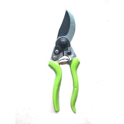 China Professional Steel Anti-skid Tree Handle Garden Pruner Hand Shears Gardening Scissors for Flowers for sale