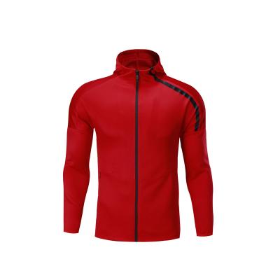 China Anti-static manufacturers selling new hot and thin unisex sportswear customized fitness for sale