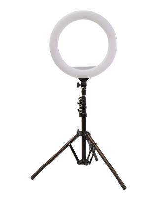 China PORTABLE LED Circle Ringlight with Stand Ring Light Photographic Lights 18 inch for sale