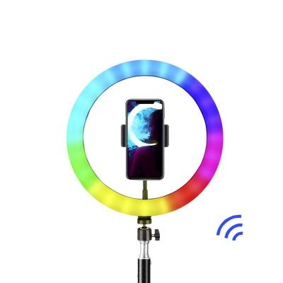 China Ring Light 10 Inch PORTABLE RGB Ring Light Photography Lights With Remote Control for sale