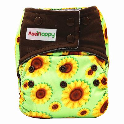 China Asenappy Printed Printed Breathable Cloth Baby Diaper All In One Size Baby Diapers for sale