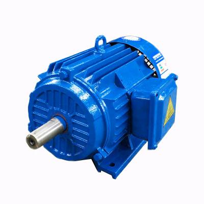 China Totally enclosed brushless motor/electric motor/synchronous motor for sale