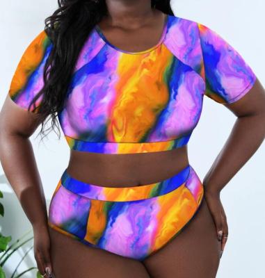 China Plus Size Hot Sales STORE 3Colors Short Sleeve Print Plus Size 4XL Swimsuit Lady High Waist Bikini Sexy Swimwear for sale