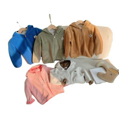 China New Autumn And Winter Boys Hooded Viable Children's Clothing Warm And Shear Thick Children's Coat for sale