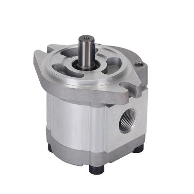 China Factory Direct Hydraulic Rotation Double Rotation Gear Pump Two Way Oil Pump for sale