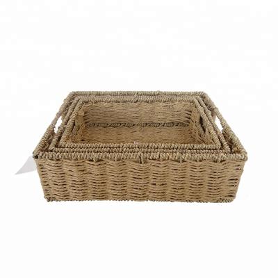 China Small Plant Plankton Eco - Friendly Material Straw Storage Basket With Handle for sale