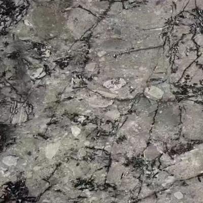 China Modern High Quality Polished Gray Siboney Marble For Wall Background&Table Top for sale