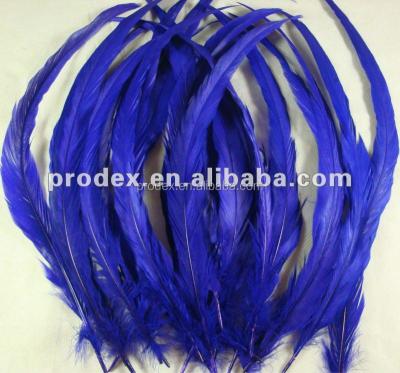 China Royal Blue Rooster Tail Feather Rooster Tail Feather Saddle Feather Rooster Tail Feather Long Dress Decroation for sale