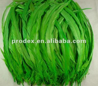 China Dress decroation saddle neck feather feathers long, tail feathers, role feathers, for sale