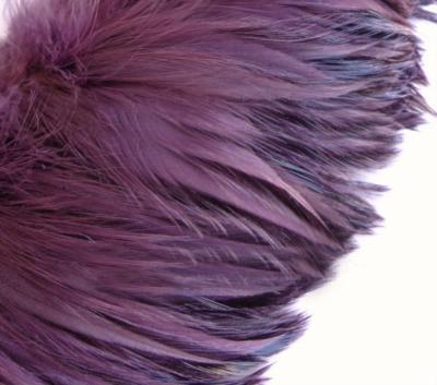 China Robe Decroation Amethyst Rooster Neck Feather Feathers 4-6 Inches for sale