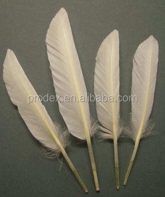 China Dress decroation dyed duck feather pheasant feather dot feathers for sale for sale