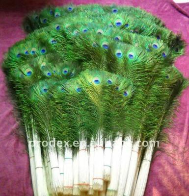 China Decroation Party Supply Peacock Feather, Peacock Eye Feather, Peacock Feather Dress for sale