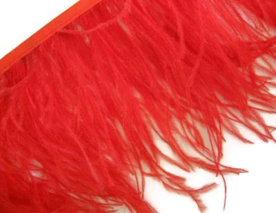 China High Quality Decroation Ostrich Feather Trim for sale