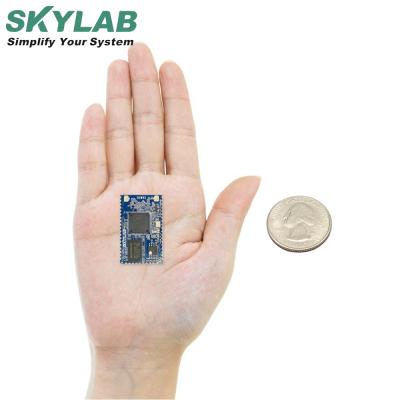 China SKYLAB Top Sale 128Mb Low Cost Home Iot/iot wifi wireless module wifi camera smart wifi camera usb wifi/usb router for sale