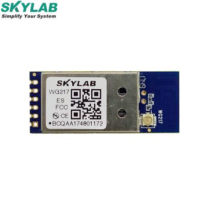 China Dual Band SKYLAB 2.4/5GHz IEEE 802.11ac 1x1WLANs USB Network Relay AC WIFI Camera Module Set Top Box / Home Gateways for sale