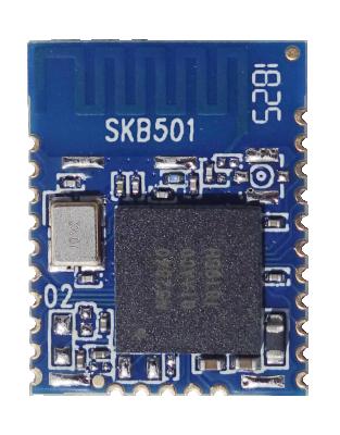 China Indoor positioning SKYLAB best selling smallest size BLE 5.0 SoC low energy nordic bluetooth module for sale