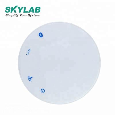 China With PA LE SKYLAB hot sale TD05A multiprotocol bluetooth Wifi gateway for smart home gateway for sale