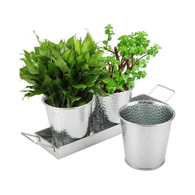 China Environmental Friendly Herb Pots With Tray Set Indoor Windowsill Galvanized Planters for sale