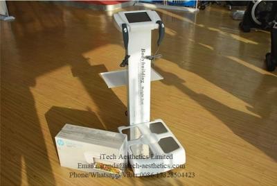 China Body Fat Analyzer Body Composition Analyzer Body Element Analyzer CE DHL Free Shipping for sale