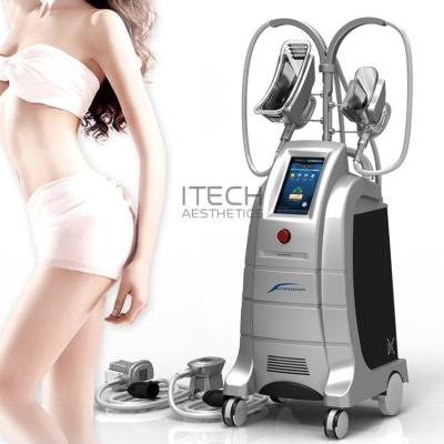 China Body Slimming And Shaping Cryolipolysis 2 Handles Fat Freezing Machine Weight Losing Slimming Machine for sale