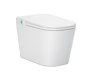 China Ceramic Cistern 646Intelligent Hidden WC Smart Toilet With Tank Cover Wholesale White Sale Bidet Bathroom Piece Modern Style Model for sale