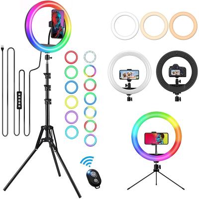 China ABS+PC+Aluminum Alloy 16 Colors Change Photography Live Smd Rgb Ring Lighting 8inch/20cm 10inch/26cm 12inch/30cm Makeup Led Rgb Ring Light for sale