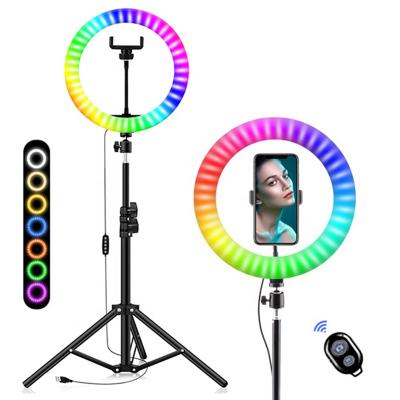 China Adjustable brightness 10 & Tripod Stand 16 Colors With Remote Tripod Stand Phone Selfie Holder 10 Inch Rainbow RGB Led Ring Light for sale