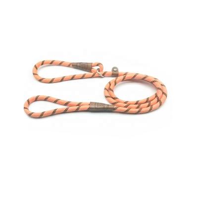 China Viable High Quality Factory Custom Design Slip Rope Training Dog Collar Leash Pet Leash for sale