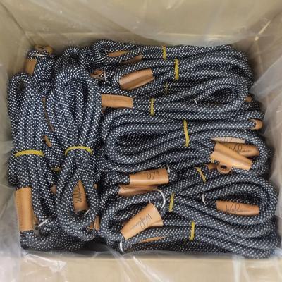 China Best Selling Durable Dog Lead Amazon Mountaineering Dog Leash Rope Pet Outdoor Sports Thoughtful Dog Leash for sale