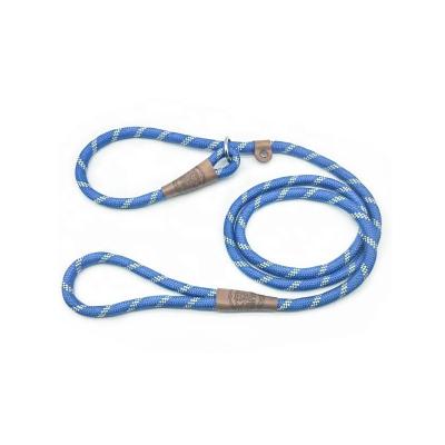 China Factory Viable Strong Nylon Material Sublimation Rope Adjustable Slip Dog Leash Collar Set Paracord Dog Show Lead for sale