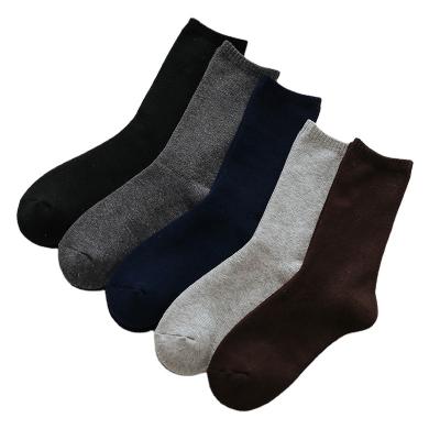 China 2022 New Sporty Spring Mens Cotton Slouch Slouch Sock Wholesale Logo Embroidered Sock Custom Olid Color for sale