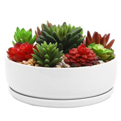 China Best Selling Flat Flower Pot Modern Home Decorative Succulent Pot Cactus Plant Pot Planter for sale