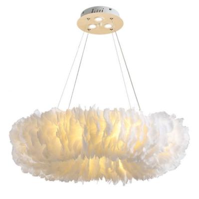 China Modern modern lamps with feather for pendant and floor lamp for sale