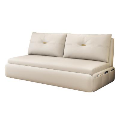 China Extendable Living Room Sofa Beds, Most Popular Sofa Bed, Folding Sofa Bed for sale