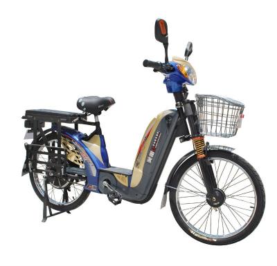 China GCC 48v Electric Portable Battery Middle East 350w Electric Cargo Bike Multifunctional Hot Selling Electric Bicycle for sale