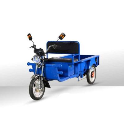 China Electric Cargo Bike Trike Spare Parts Three Wheel Bicycle Adult Tricycle For Electric Trike for sale