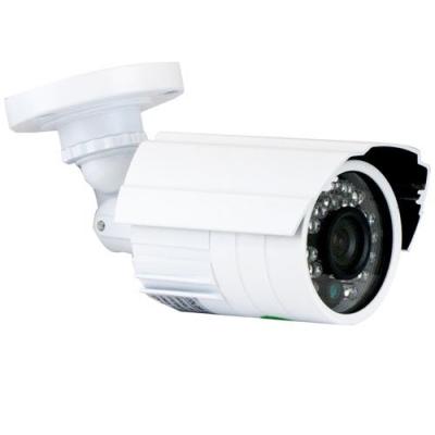 China 1080P Day Night Surveillance Camera 2.0 Sony CMOS Sensor 24 LED for sale